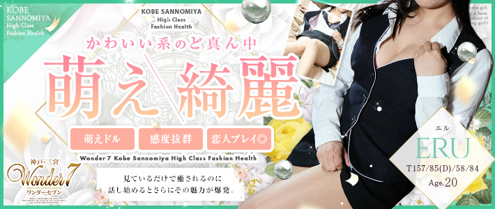 新人おすすめ 【エル】