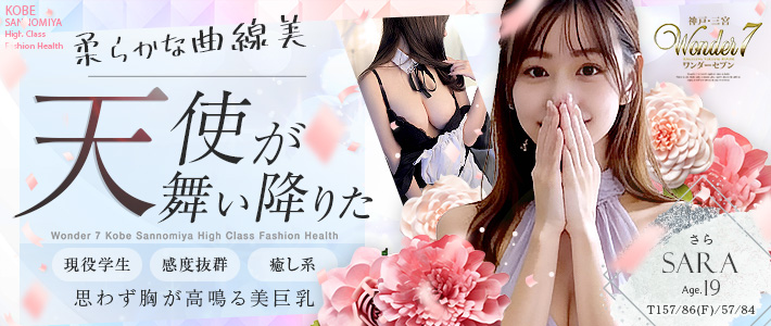 新人おすすめ 【さら】